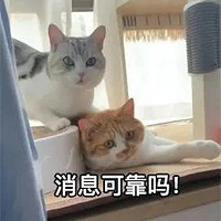 ŶӳwanghongꣿЩʽ㻹֪