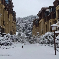 ���Լ��ı����Ҳ��ˣѩ��