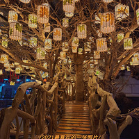 ����ʯ�Ͻֶ�ҹ��