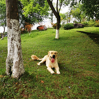 ��ë�����������