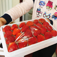 裬Բݮָ40ԪһĲݮӦ