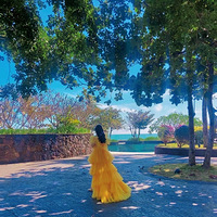 һ��˵�߾��ߵĿ�������