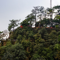 ��������ʨ�ӷ塢��¯��