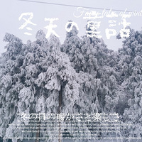 �����ѩ��