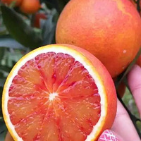 2022����Ԫ���ܱ��Σ��ܿ����ž��㣬�ɽˮ����ժˣ����