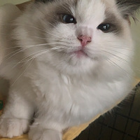 ���������Ժ������ˡ���