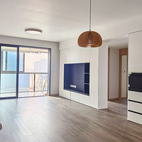 ������̳��wanghong���ƼҾ�Ч������Ԥ�ڣ���װʵ¼������