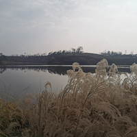 �����һ�䣬�����ƺ�