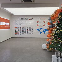 �����һ���ȫ�ݶ��Ƹ㶨���ں�ʼ��