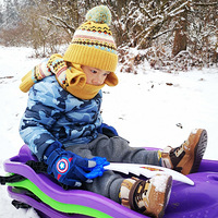 ��ѩ��������浽�˱���