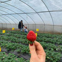 2022Ԫ�����ջ�������һ��