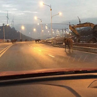 2022������Ԫ��.�ᶼ�������ѩ