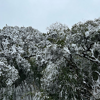 ǧ���ڼ��ճ��ţ�