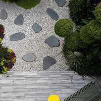 �ڴ������� | ��ĸΪ�˺���ӵ�����õ�ͯ�����ж�Ŭ����