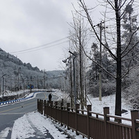 ��ѩ����֮�����