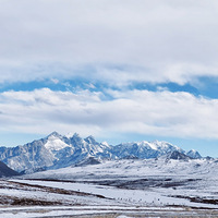 ��Ȼ���֣���һ�������ܴ����Ѿ�������ǰ��