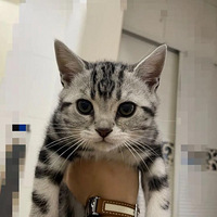 è�������������������Ҫר��ȥ�����