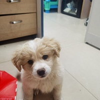 С�����С������Եģ���û����������