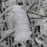 ���ɽ��ѩ����Ҳ����