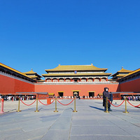 Ԫ�������α���