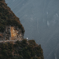 2022Ԫ�������Լ���