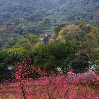 �׹������÷����