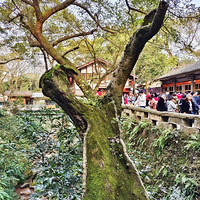 ���Ÿ���ȥ���Σ�������������ˣ���̵�