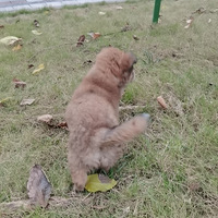 �������з�Ӧ�ˣ�