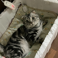 ����ϴ���Сè�䣬ϴ��ֱ��ϴ����