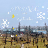 ����ȥ�����ˣѩ��׼�����װ����ȫ��399ס����һ��������Ʊ