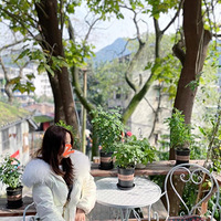 ����֮��|���.���ܻ�԰