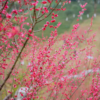 �·��֣�����������ѵ���÷���صأ�����������