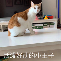 è��������