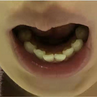 ݽ꣬ҲҲ