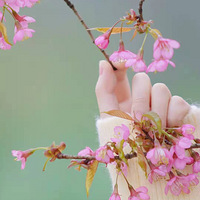 ٹ1£ӣɽȾɻˣһȥ̤డ