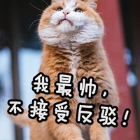 �������֣�ȴƫƫ��������....��νż�񲻹����