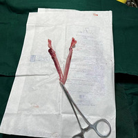 СƷ��è�����Ҹ���ů�ļ�