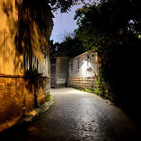 ҹ����ɽ���о��������´�