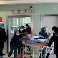 Ǹ人ĿӢۣһƬѪ