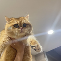 ��Բ������ɵ�������