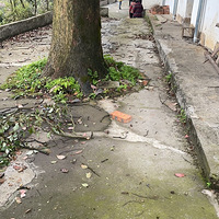 СԺ�����¼