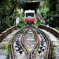 ������ʲô����ģ�������ʳ�Ƽ����������ι��ԡ������ܱ��Ρ�