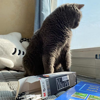 �Ҽ�С�ɰ�����