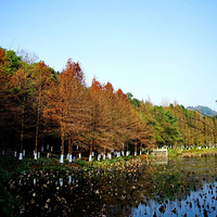 ������ĸɽ