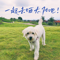 ���ĵ��������þ��ˣ��������ɹ̫��ָ�ϣ���������һ�ݣ�