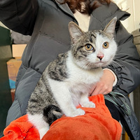 С����Ѱ��һ����ů�ļ�