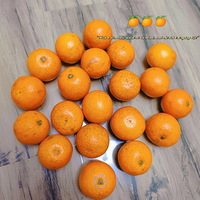 ��������ȸ�ͷС����ζ�㡢��ȸߣ��۸����