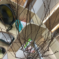 ʮ����pddѩ����Ҳ�����Ȼ�������Ʋ