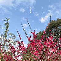 �����ͻ������ȥ�����ֿ��Կ������ȸ����������÷��