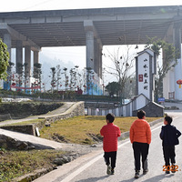 ɽˮ������